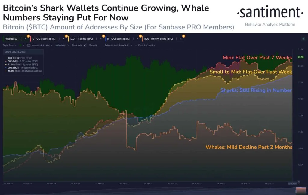 santi - Coinscreed Latest Bitcoin and Crypto Updates