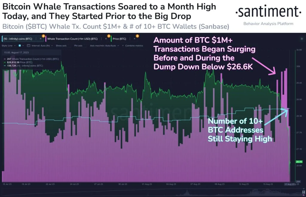 NA 2 - Coinscreed Latest Bitcoin and Crypto Updates