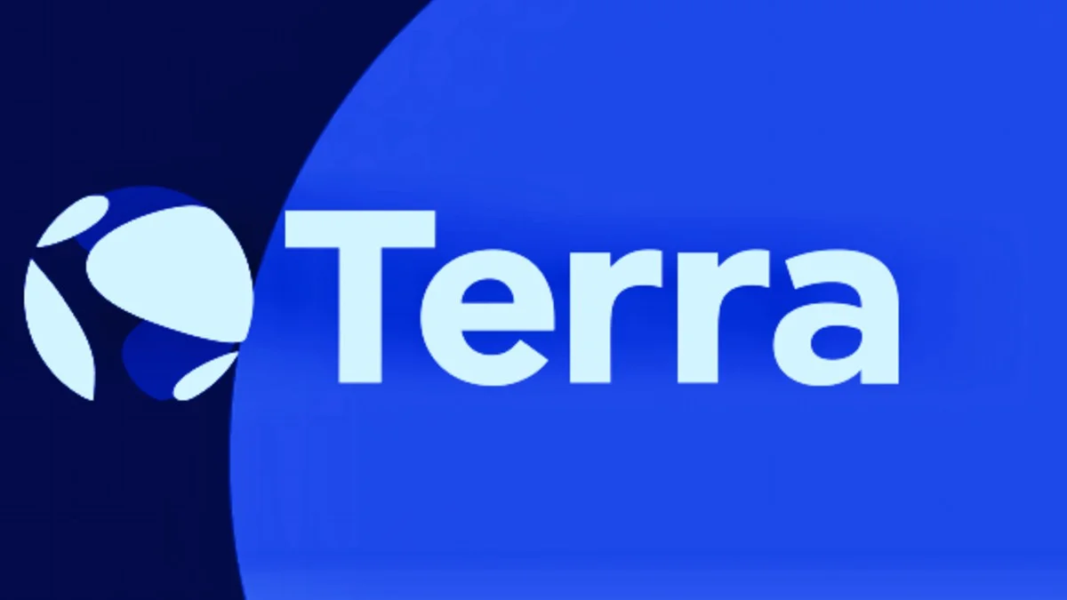 Terra Users Face Domain Issue Amidst Legal Drama