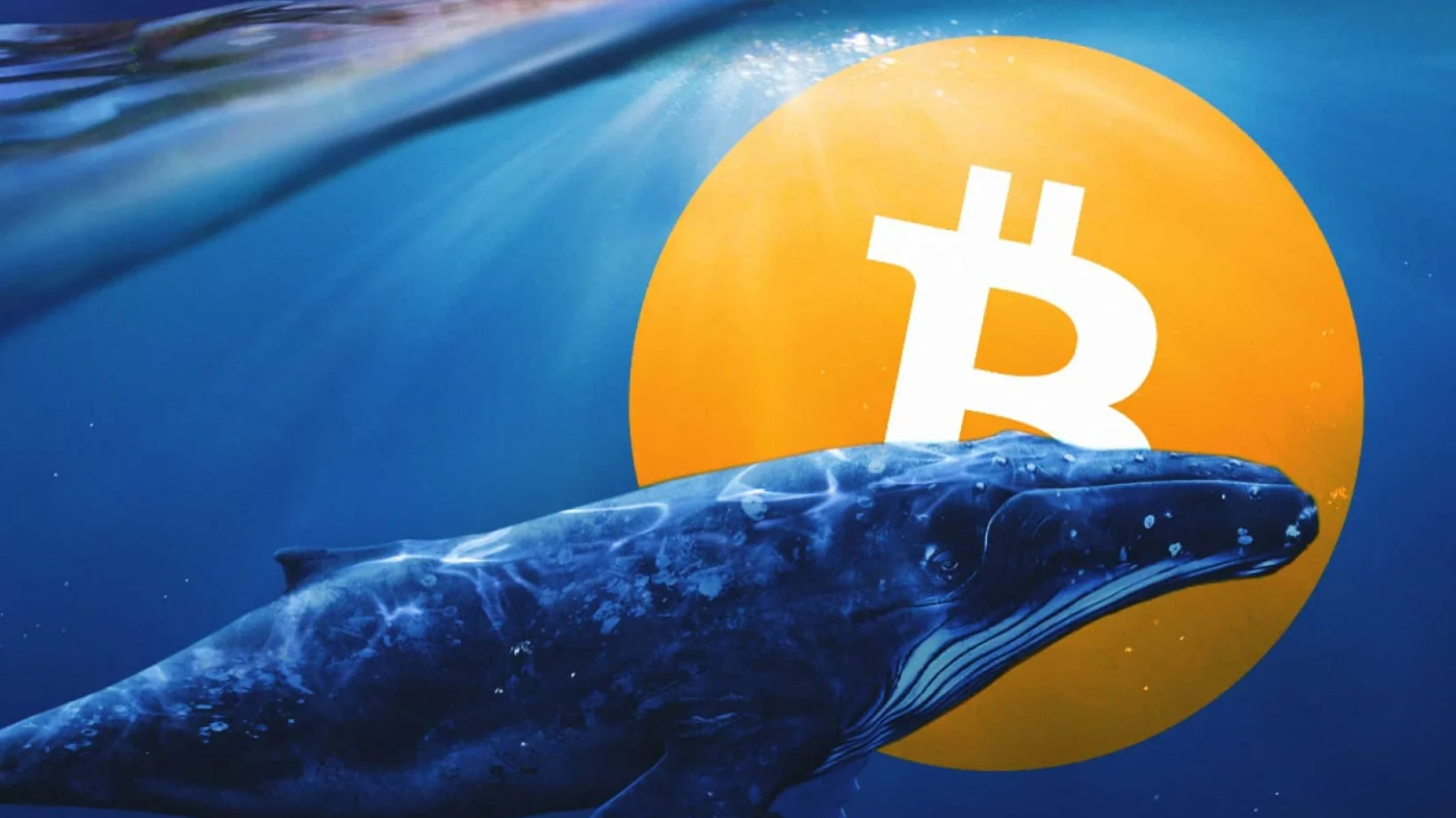 Bitcoin Whales: BTC Price Dips Below $26,000