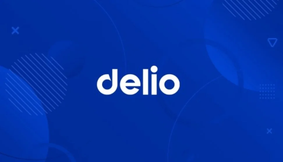 User Deposits Were not Principal Protected - Delio CEO