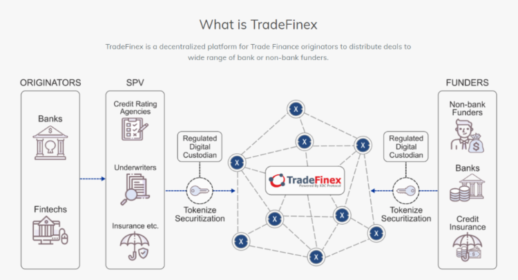 image 88 - Coinscreed Latest Bitcoin and Crypto Updates