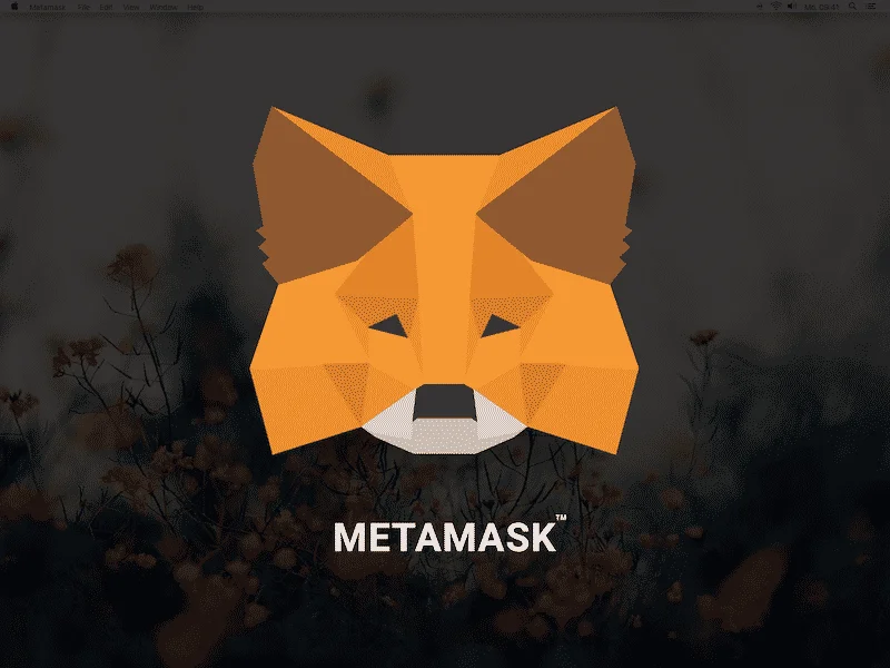 MetaMask Wallet Temporarily Removed from Apple App Store