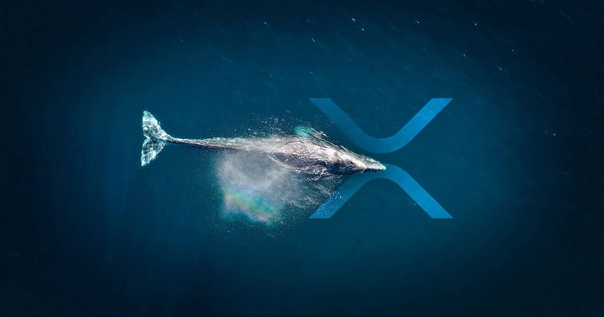 XRP Whale Shifts 51M Coins Amid Ripple's US SEC Reply Letter