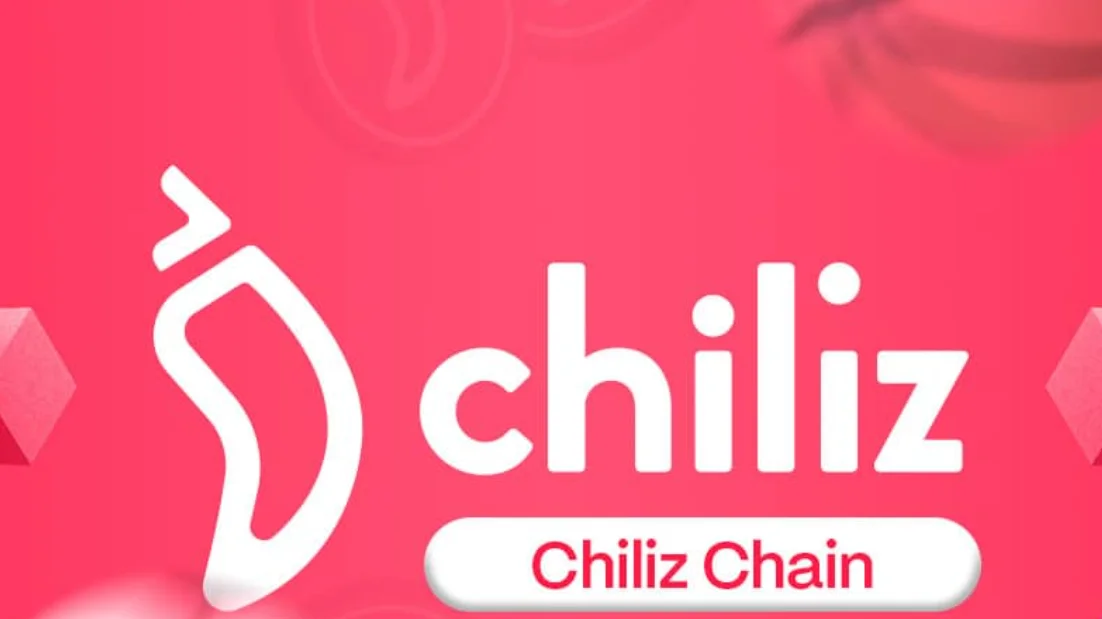 Animoca Brand Becomes Validator for Chiliz Chain