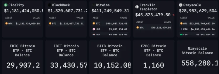 image 101 - Coinscreed Latest Bitcoin and Crypto Updates