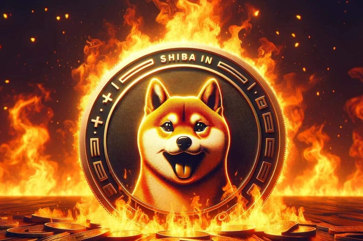 Shiba Inu Community Burns 25 Mln Coins Amid Price Decline