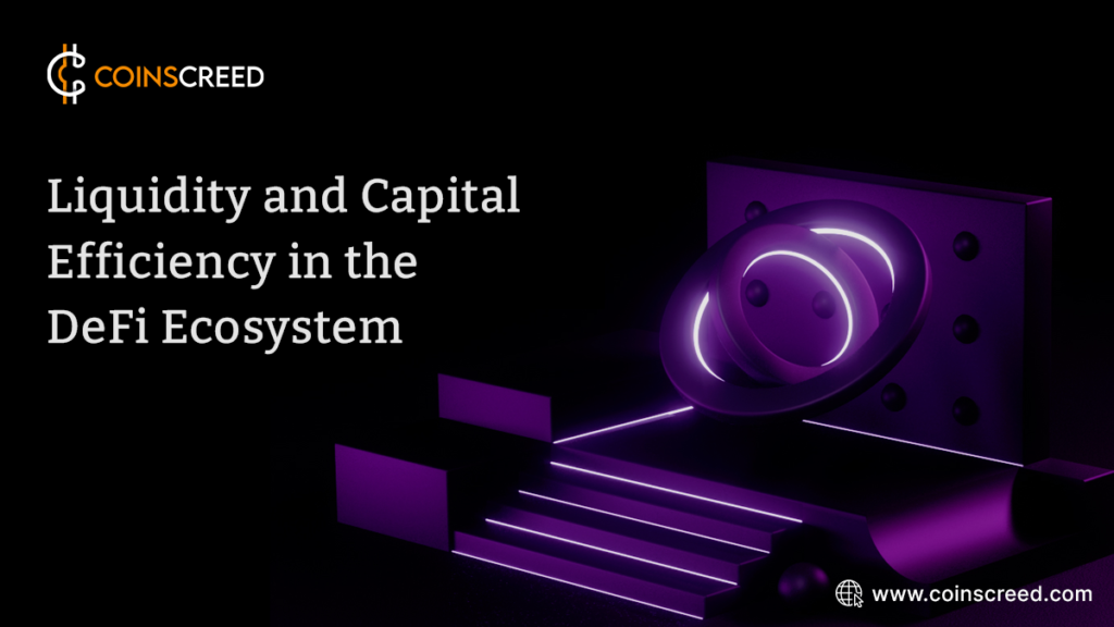 Liquidity and Capital Efficiency in the DeFi Ecosystem
