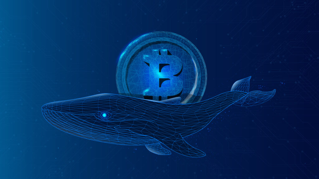 Whale Shifts 28M XRP Ahead of SEC Deadline