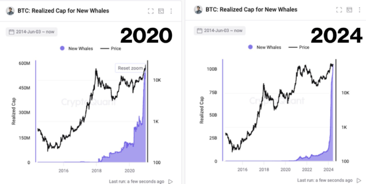 image 115 - Coinscreed Latest Bitcoin and Crypto Updates