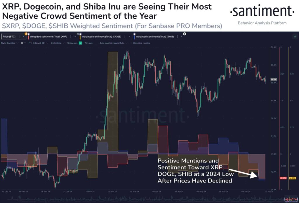 Altcoin SHIB DOGE XRP - Coinscreed Latest Bitcoin and Crypto Updates