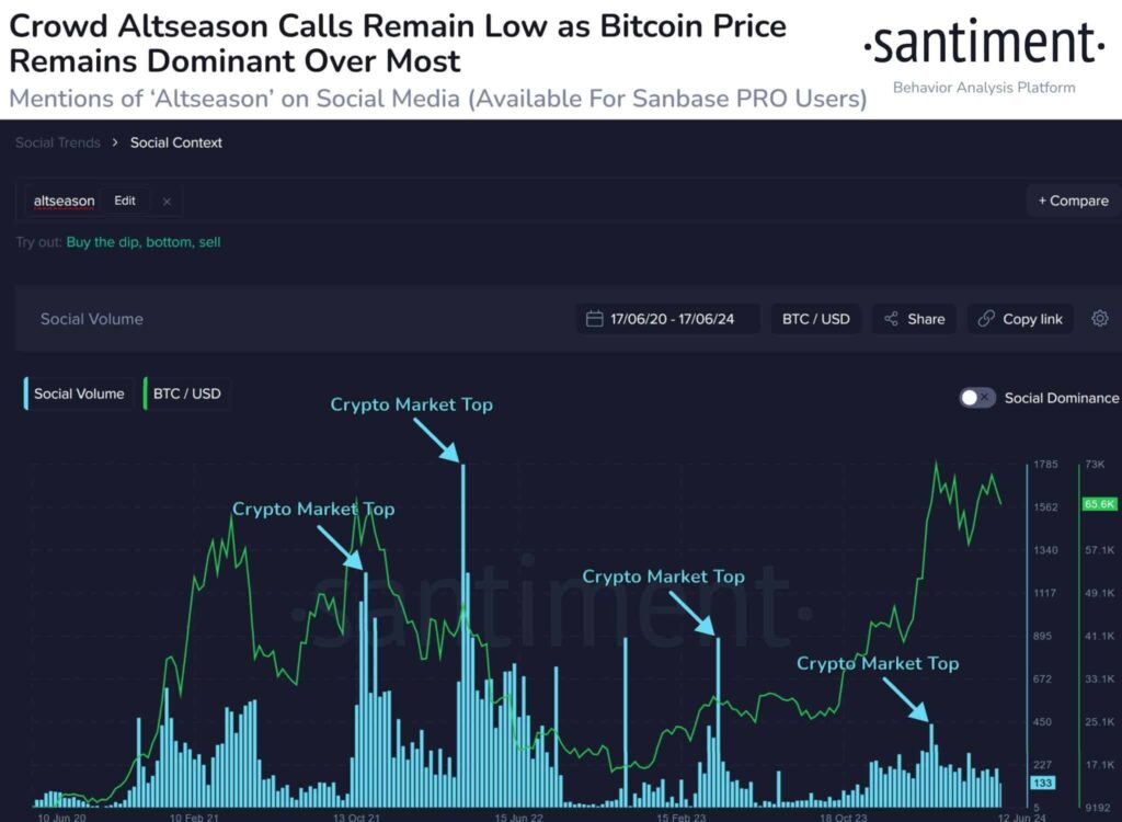 Altseason Sentiment - Coinscreed Latest Bitcoin and Crypto Updates