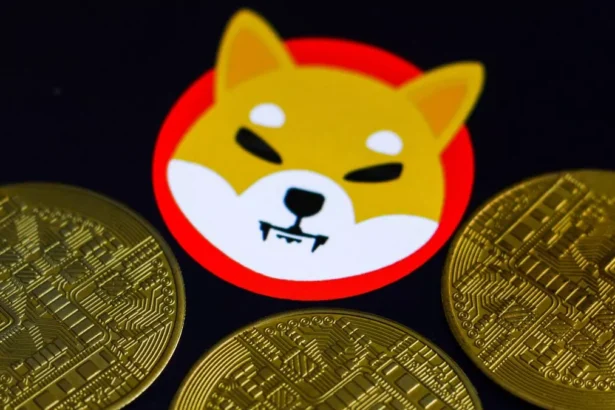 Shytoshi Kusama Highlights Shiba Inu TREAT Token Error