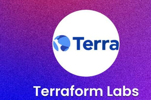 Terraform Labs' bankruptcy Reorganization Hearing Set for September