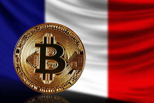 VanEck, Inter Invest Introduce Bitcoin to French Pension Plans