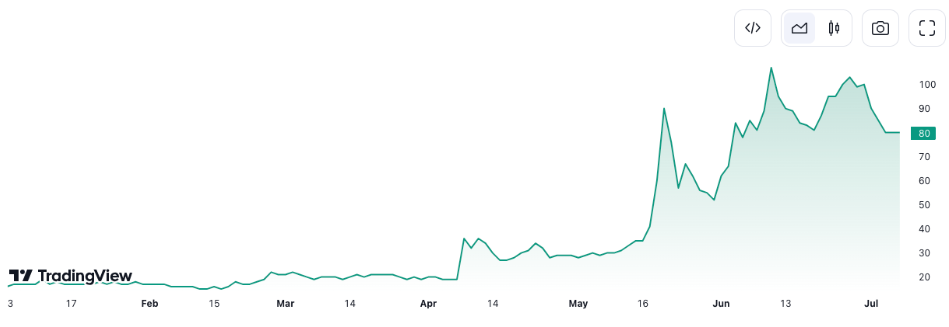 Metaplanet stock in 2024. Source: TradingView