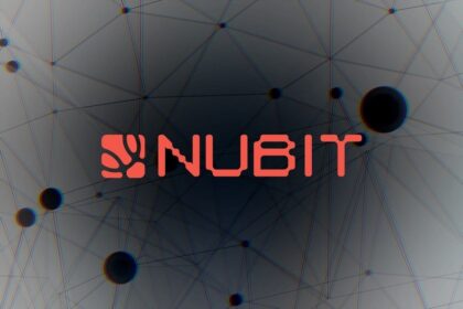 Nubit, Succinct Launch Nuport to Link Blockchains