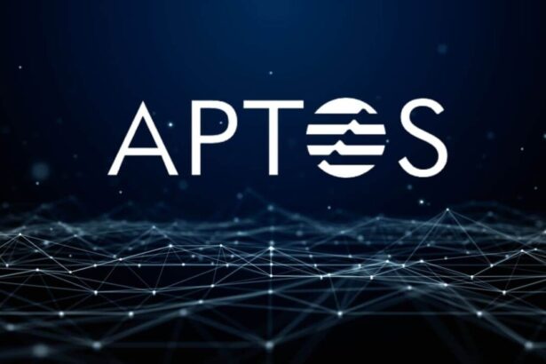 Aptos Network Partners with Nillion for Privacy-Focused Apps