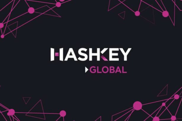 HashKey Teams Up with Toncoin's Catizen Mini-Game to Boost Web3