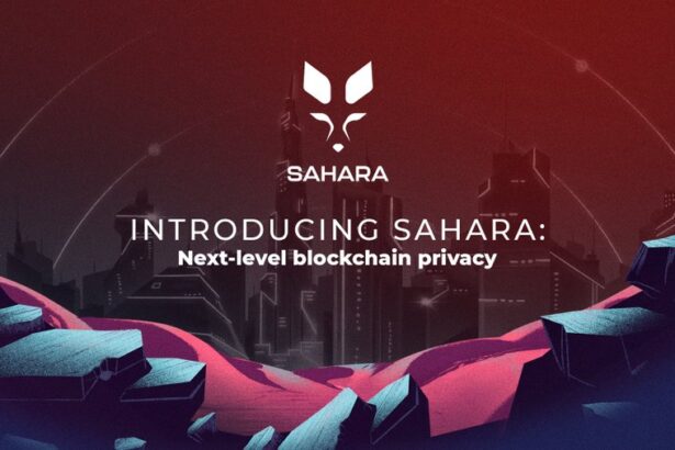 Pantera Capital Leads $43M Funding for Sahara AI Platform