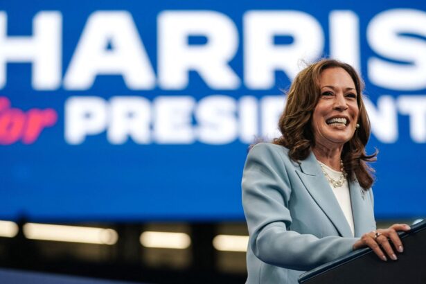 Kamala Harris's Crypto Comments Draw Criticism