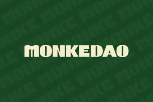 MonkeDAO Initiates Internal Investigation over Revenue