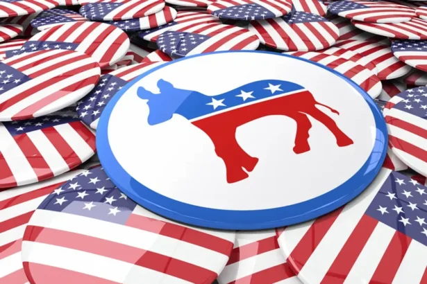 Democratic Party’s 2024 Platform Did not Mention Crypto, Digital Assets