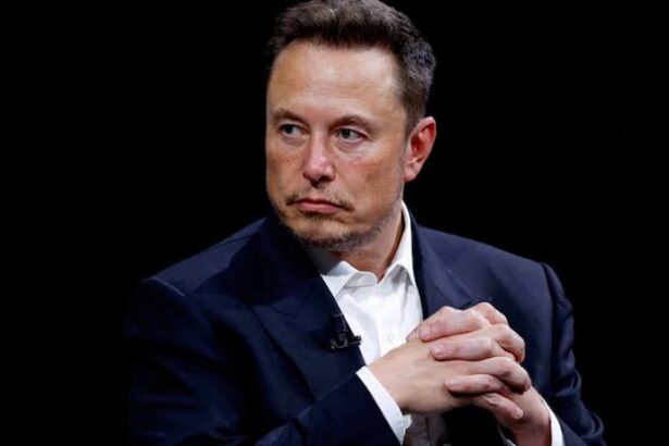 Elon Musk Backs AI Safety Regulations