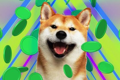 Shiba Inu's First Shibarium Game To Launch Soon