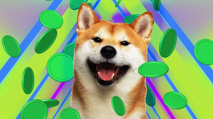 Shiba Inu's First Shibarium Game To Launch Soon