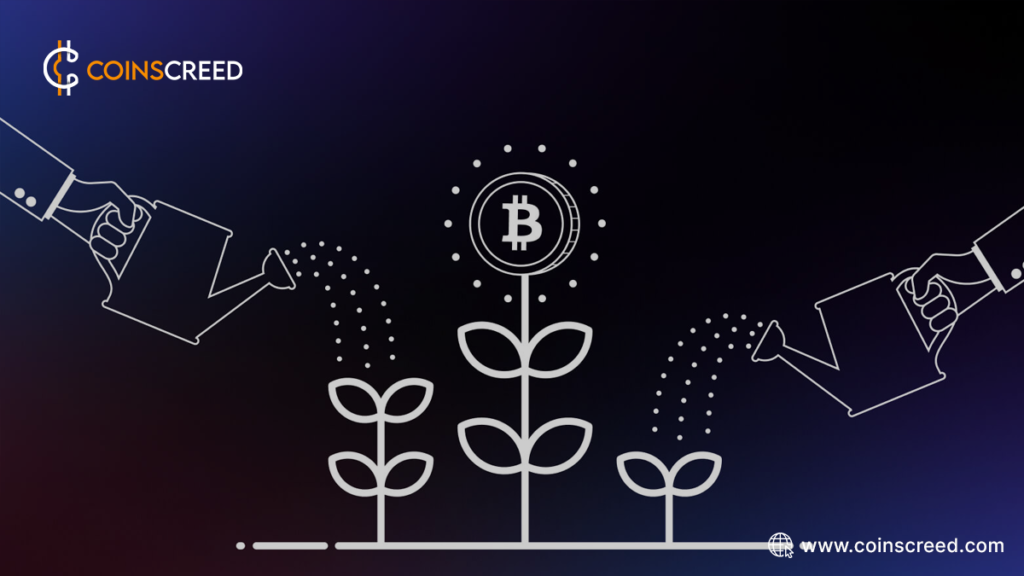 A Deep Dive into the Mechanisms of Yield Farming Protocols