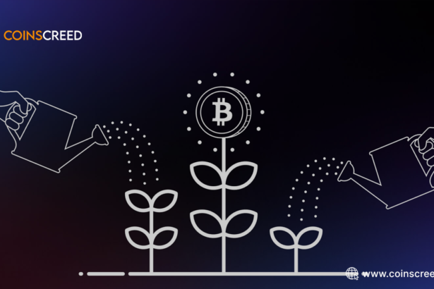 A Deep Dive into the Mechanisms of Yield Farming Protocols