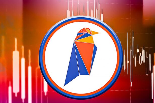 Ravencoin Mining Pools: How to Earn Cash from Mining Ravencoins