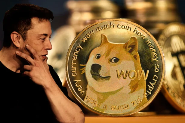 Dogecoin Price Rises 16% in One Week Amid Elon Musk Support