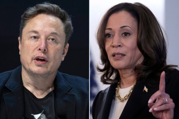 Elon Musk Slams Kamala Harris's Border Position Ahead US Elections