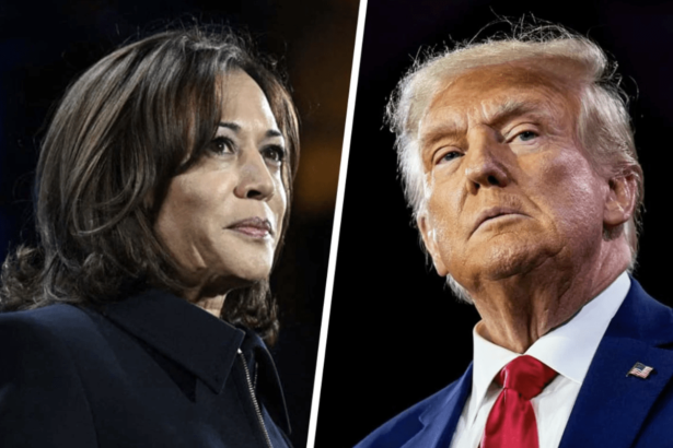 Trump, Harris Crypto Tokens Gain Attention Before Debate