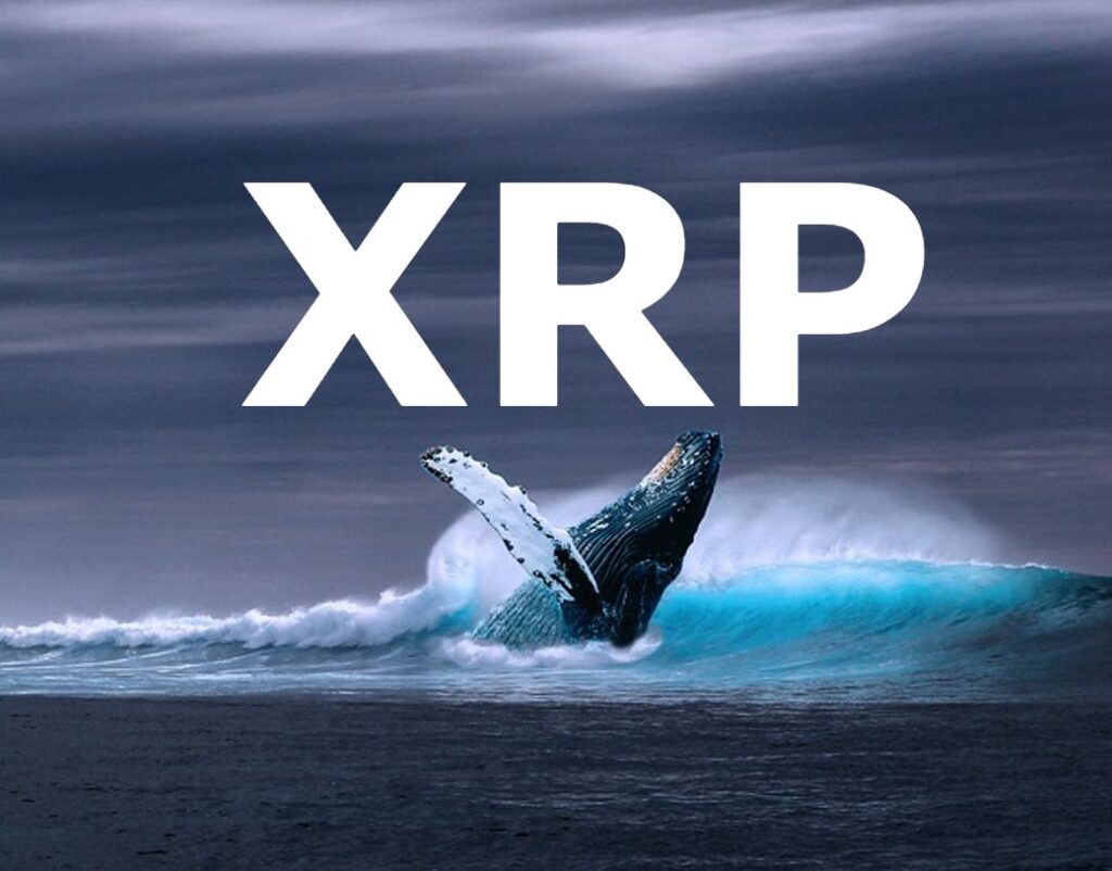 XRP Whales Moves 40M Coins Amid End To Ripple Lawsuit