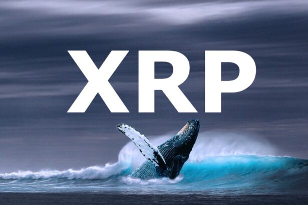 XRP Whales Moves 40M Coins Amid End To Ripple Lawsuit