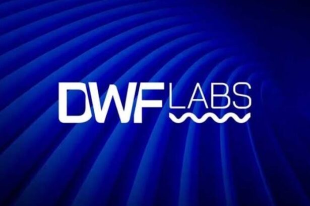 DWF Labs Partners with Grafun to Boost Memecoin Ecosystem