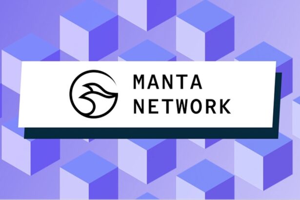 Manta Network Launches 4-Year Gas Gain Program