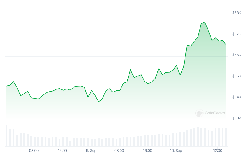 Bitcoin’s change in price since Sept. 8. Source: CoinGecko