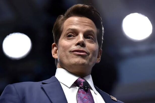 Scaramucci Says Kamala Harris is Developing Crypto Policies