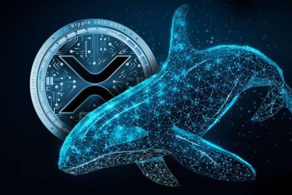 XRP Whale Activity Rises With $23.3 Million Transfer