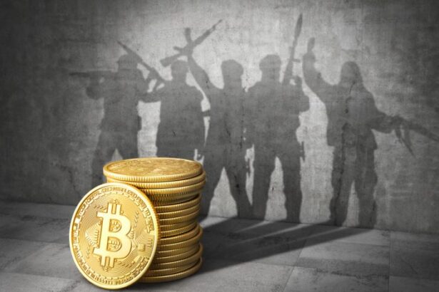 Teen Faces with Aiding Al Qaeda's Crypto Fundraising Charge