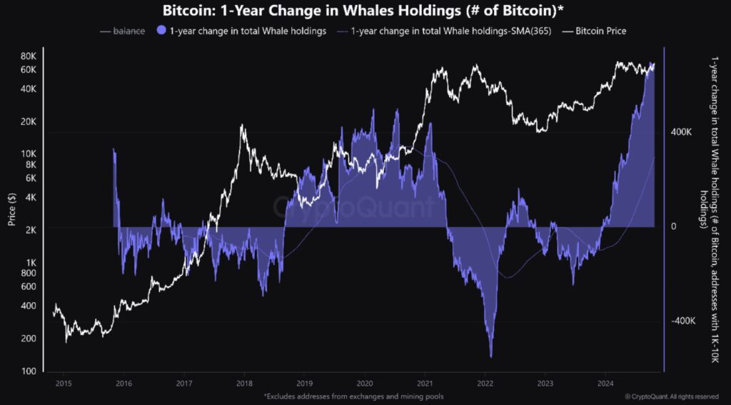 Bitcoin Whale Holdings - Coinscreed Latest Bitcoin and Crypto Updates