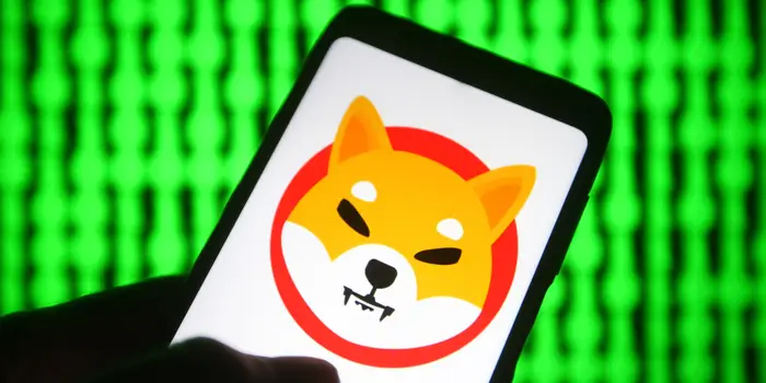 Shytoshi Kusama Warns Against Fake Billion-Dollar Shib Wallet Claims