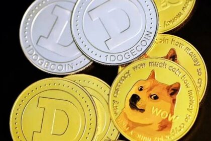 Dogecoin Whale Accumulates 155M DOGE