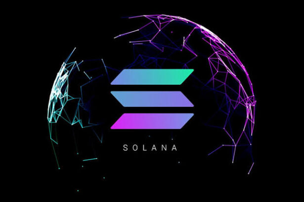 Solana Hits Record Fee Revenue Again