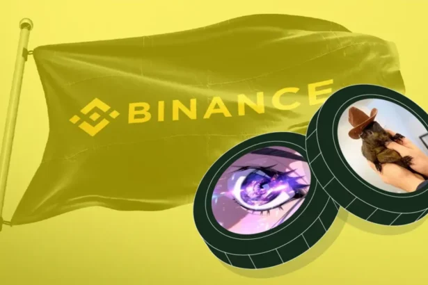 Binance CMO: Memecoin Listings Come with No Guarantees