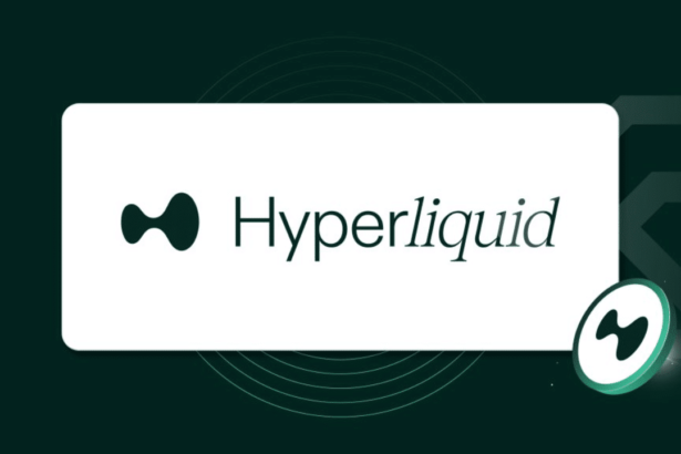 HYPE Token Soars 60% After Hyperliquid's Billion-Dollar Airdrop